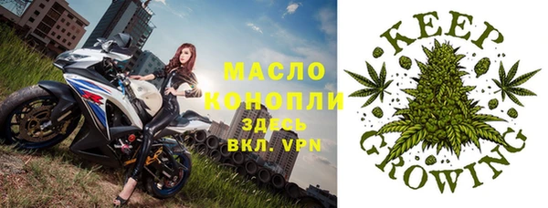 Альфа ПВП Няндома