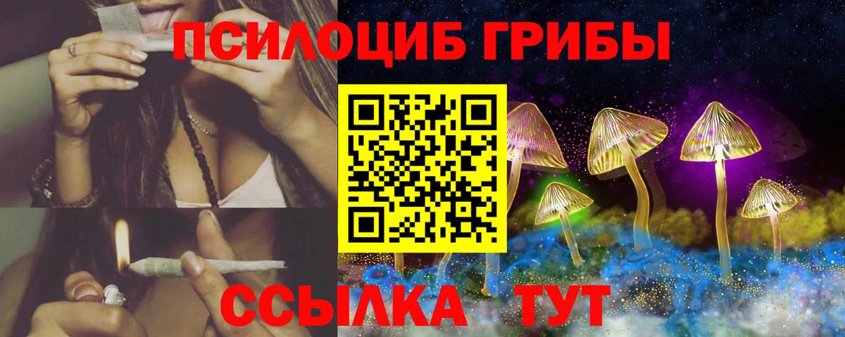 Псилоцибиновые грибы мухоморы  наркота  Псилоцибиновые грибы Psilocybine cubensis  Ковров  Вход с VPN 