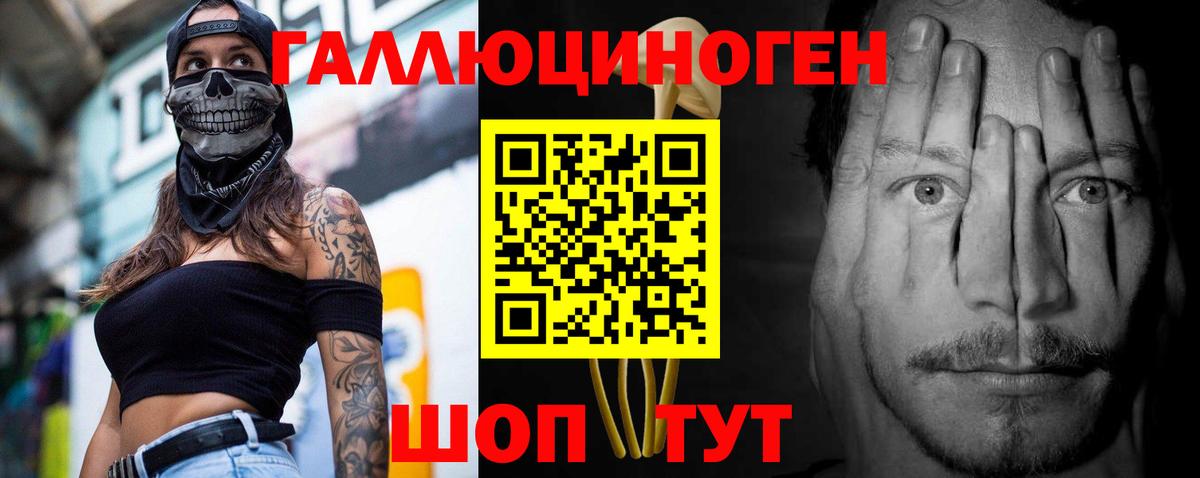 Псилоцибиновые грибы Psilocybine cubensis Ковров