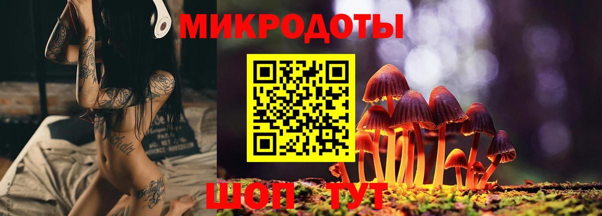Псилоцибиновые грибы ЛСД Ковров