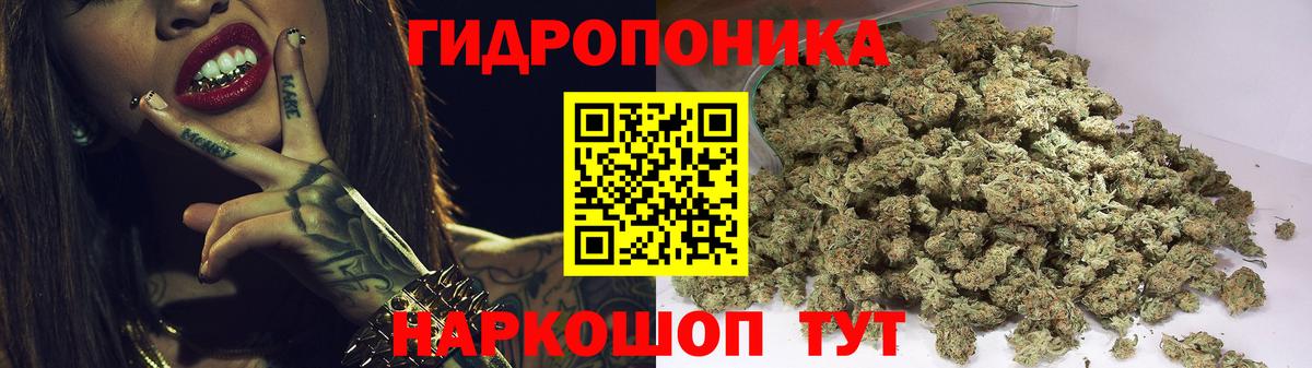 Марихуана OG Kush Ковров